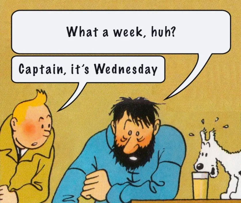 Caption It's Wednesday
